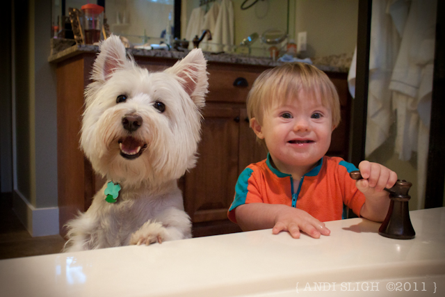 West Highland white terrier, Westie, Down syndrome, boy, toddler