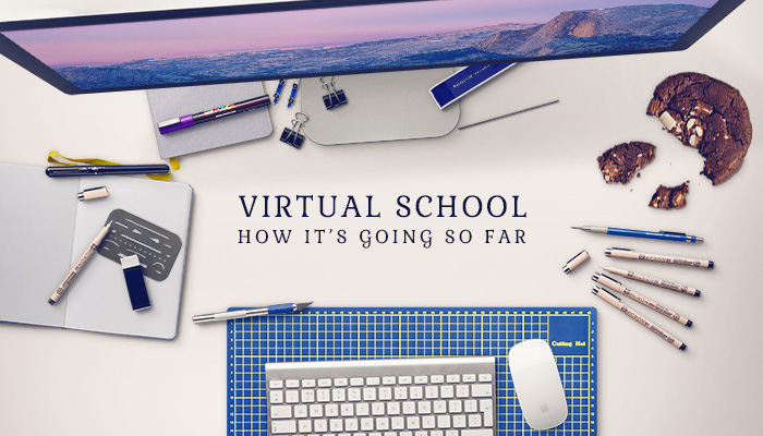 virtual-school-how-its-going